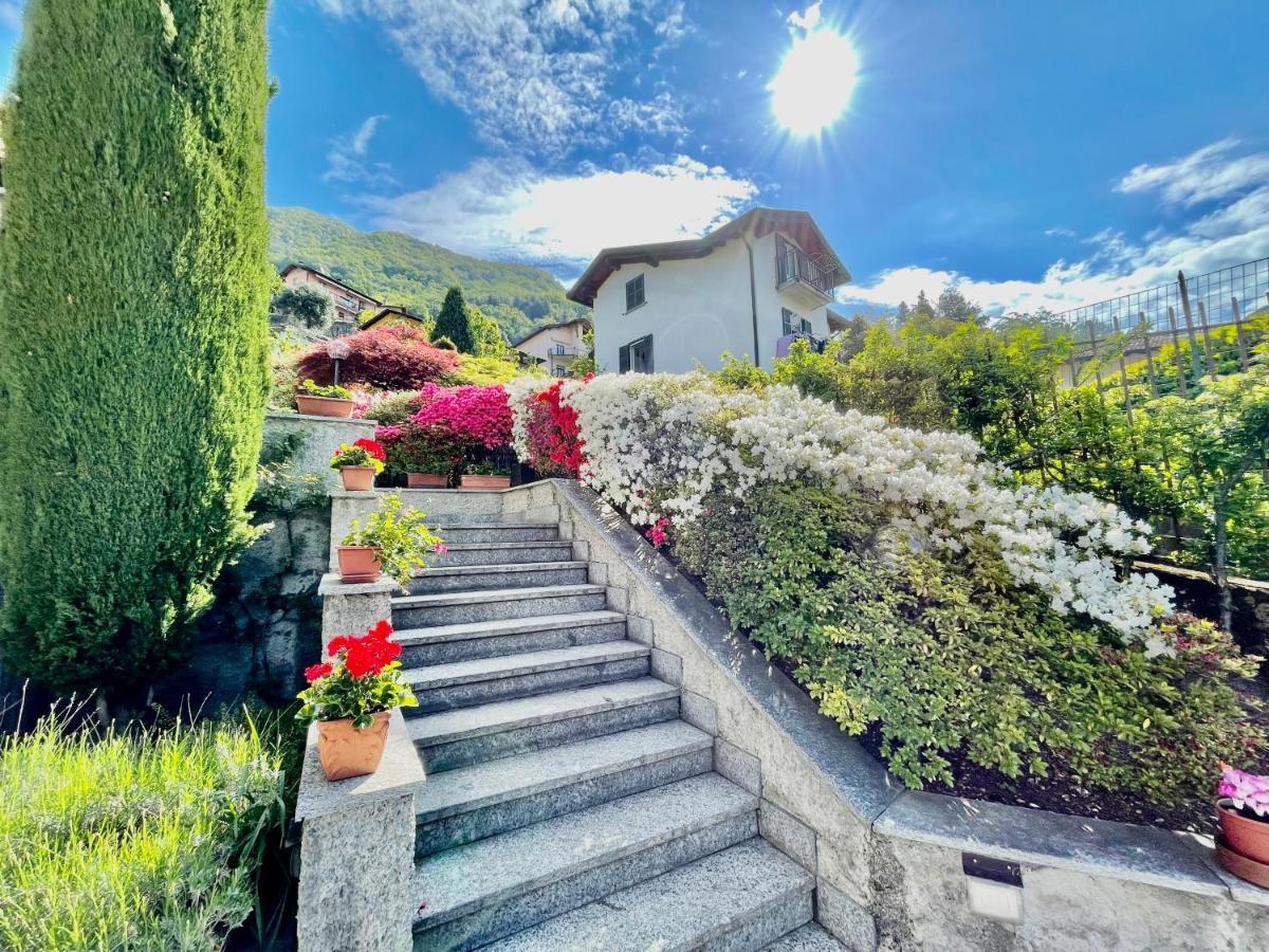Eden Sul Lago Di Como เนสโซ ภายนอก รูปภาพ