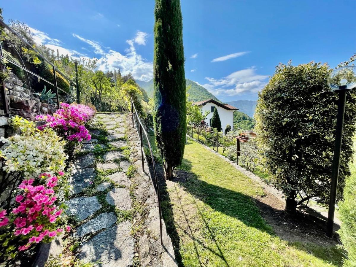 Eden Sul Lago Di Como เนสโซ ภายนอก รูปภาพ
